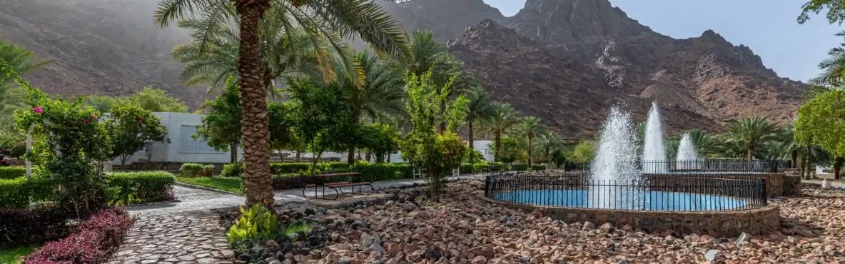 10 Peaceful Parks and Green Spaces in Madinah
