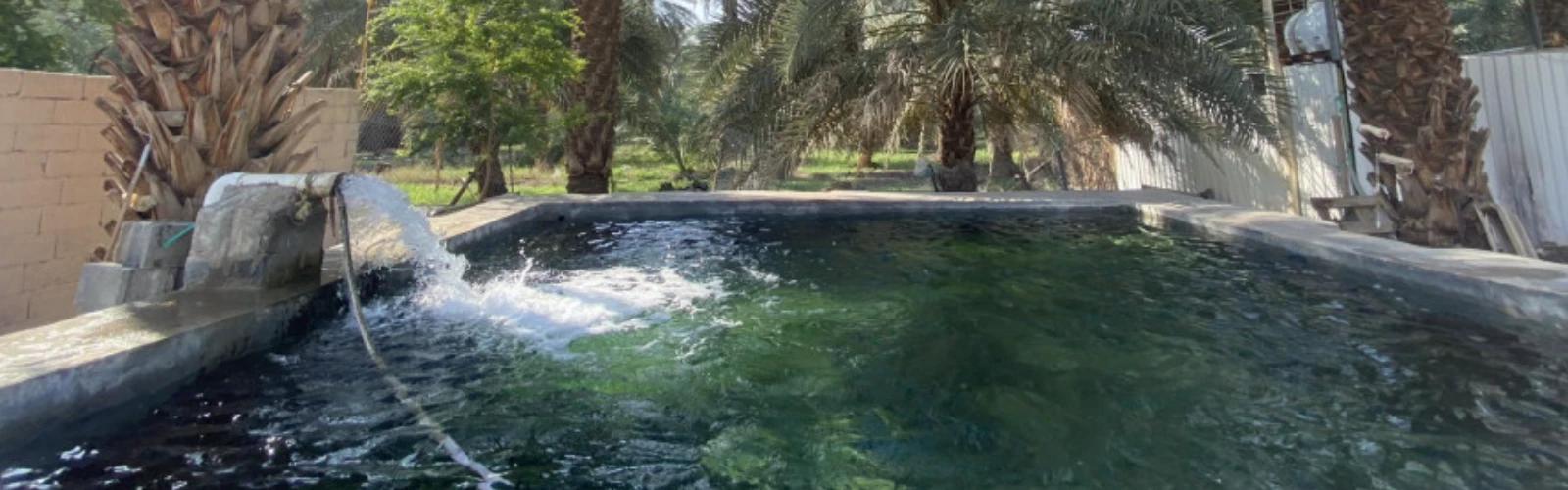 A Complete Guide to the Ethiq Well and Garden