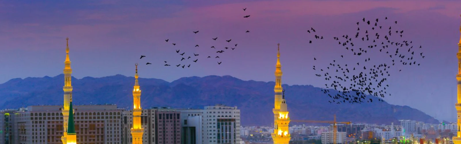 Best 8 Hotels Near Ladies Entrance (Gate 25), Masjid Al Nabawi, Madinah