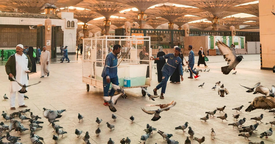 Top 10 things to do in Madinah during Umrah