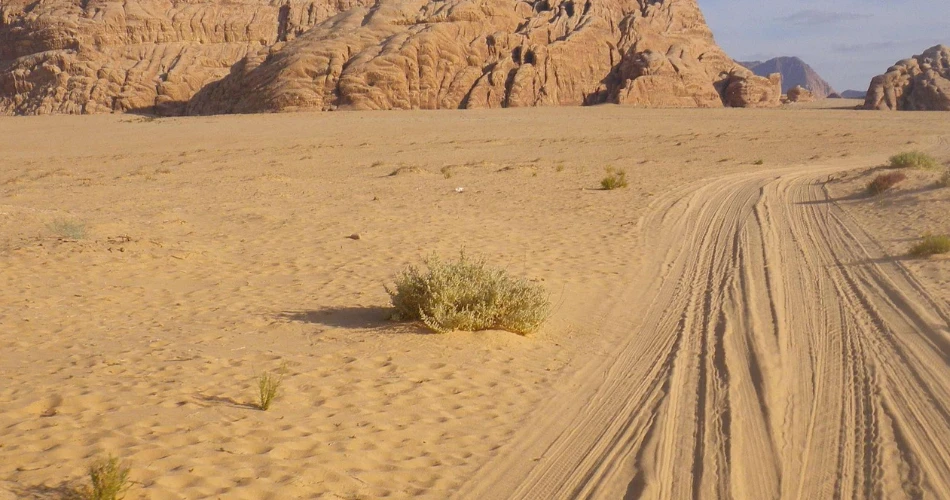 Top 10 things to do in Madinah during Umrah