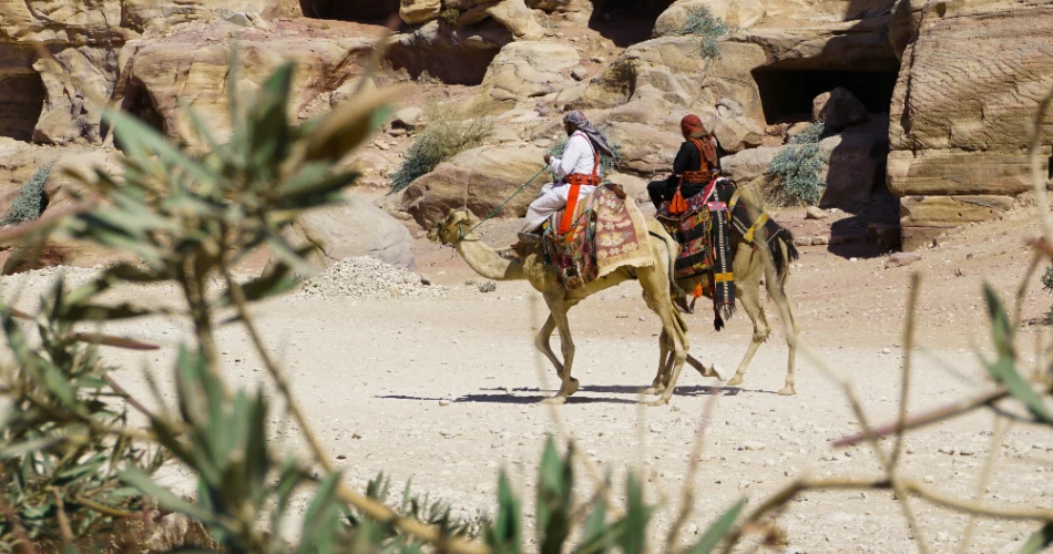 Top 10 Parks in Madina