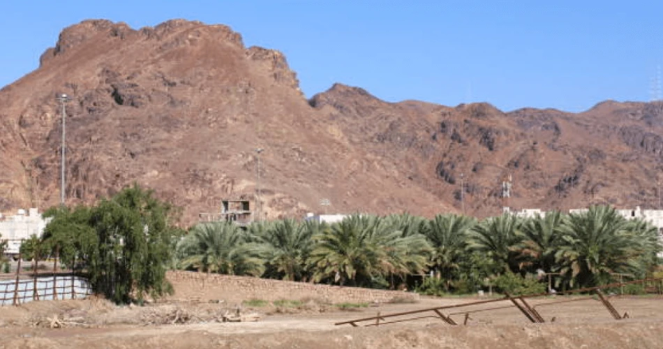 A Comprehensive Medina, Saudi Arabia Travel Guide
