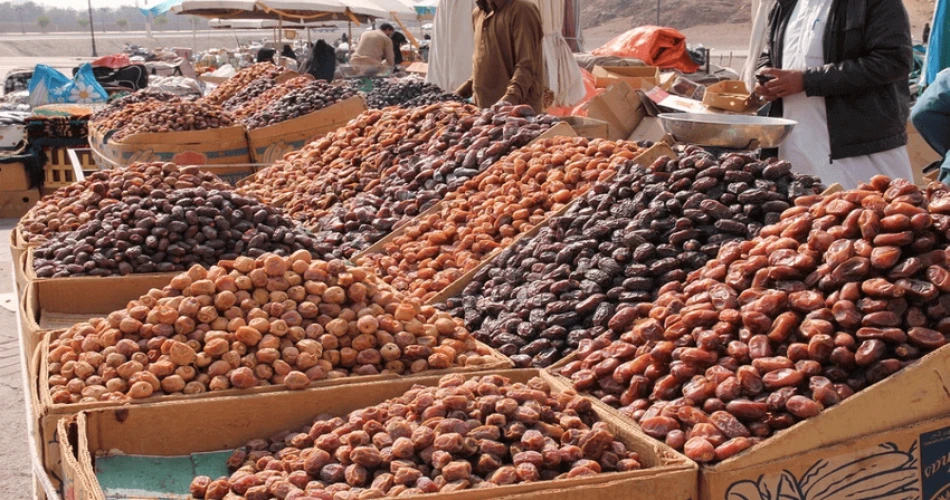 A Comprehensive Medina, Saudi Arabia Travel Guide