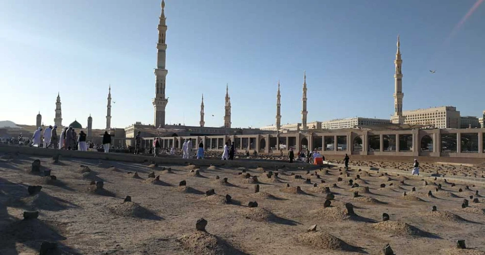 Top 29 Things to Do in Medina – Must-See Attractions & Nearby Spots!