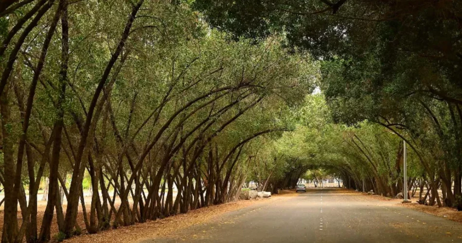 Top 29 Things to Do in Medina – Must-See Attractions & Nearby Spots!