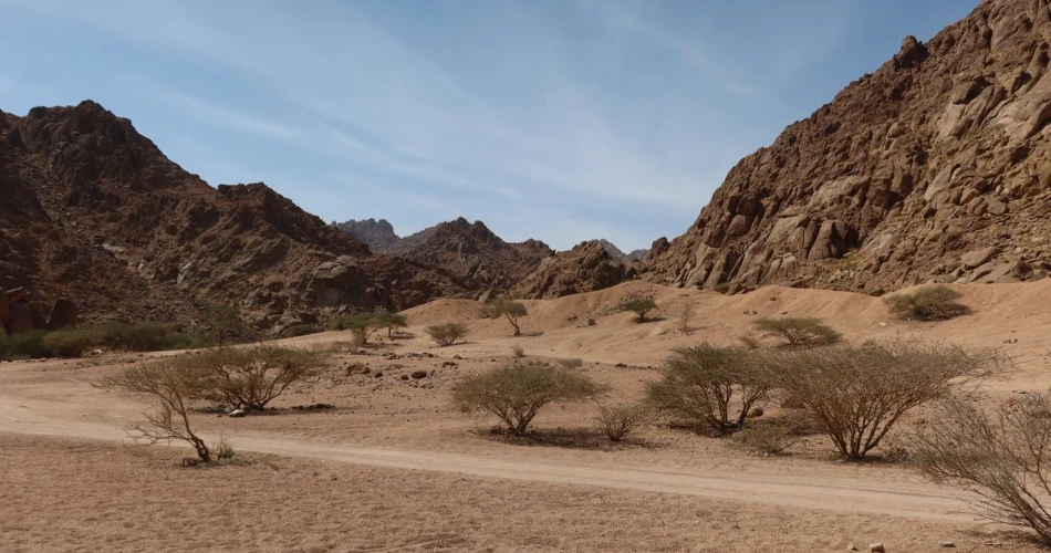 Top 29 Things to Do in Medina – Must-See Attractions & Nearby Spots!