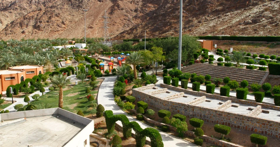 Top 29 Things to Do in Medina – Must-See Attractions & Nearby Spots!
