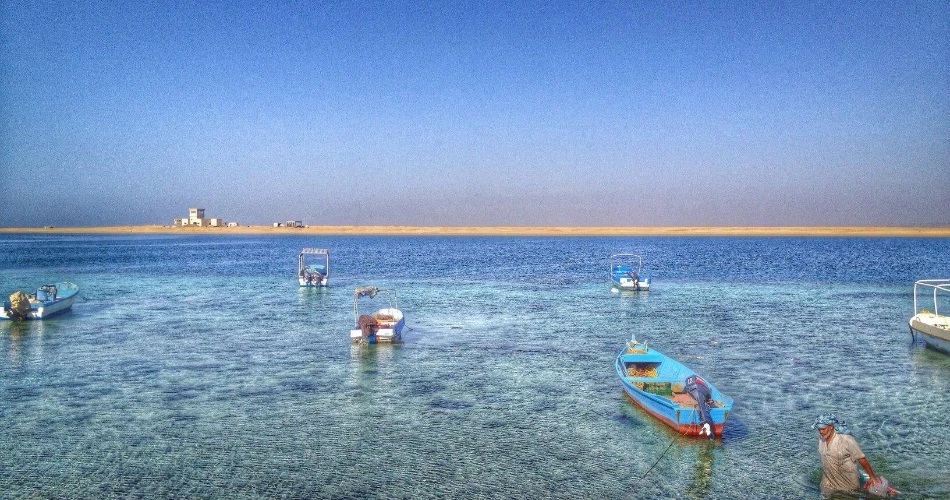 Top 29 Things to Do in Medina – Must-See Attractions & Nearby Spots!