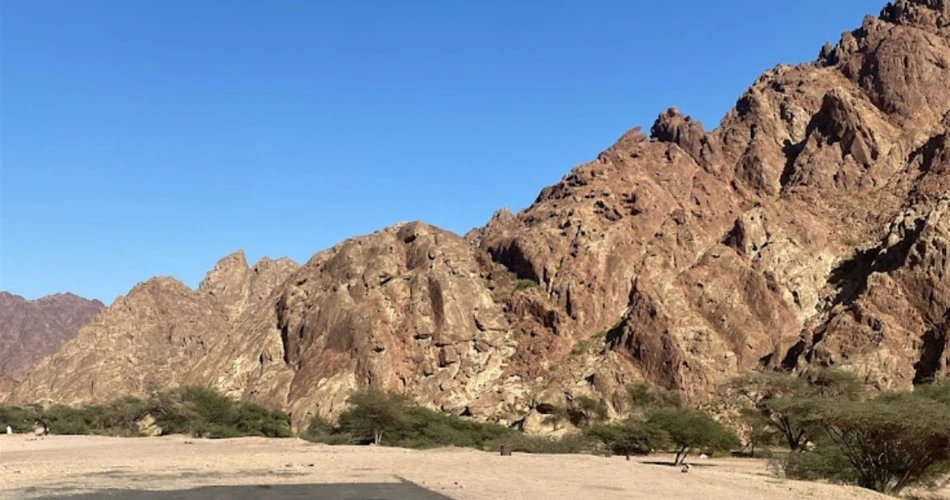 10 Peaceful Parks and Green Spaces in Madinah