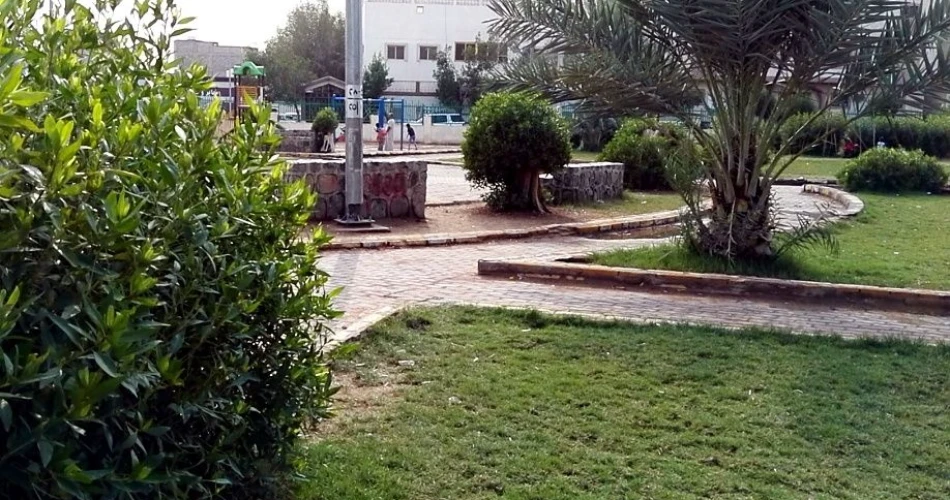 10 Peaceful Parks and Green Spaces in Madinah