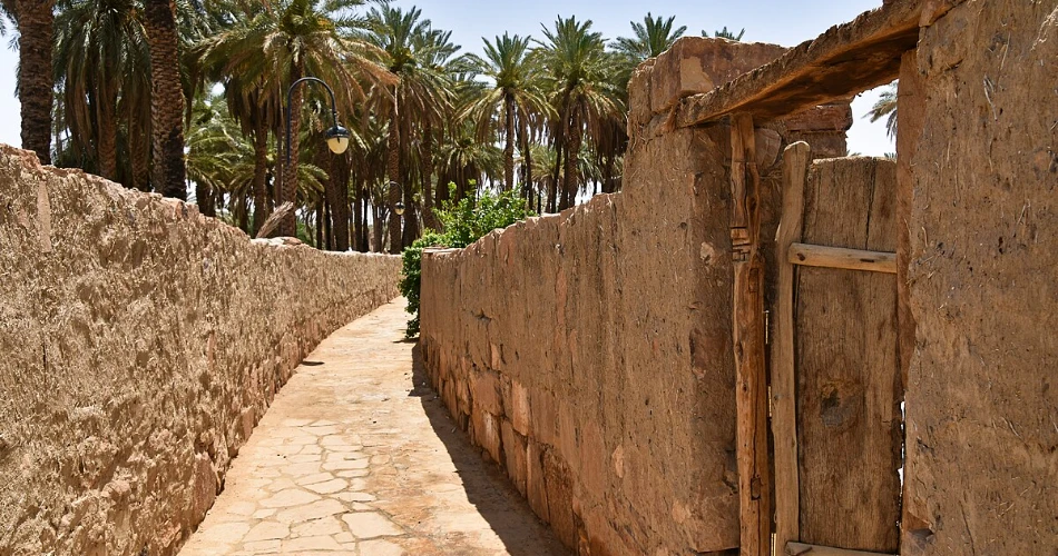 Best 10 Madinah Day Trips