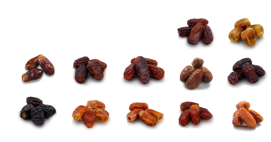 Where to Shop for Al Madinah Al Munawwarah Dates?