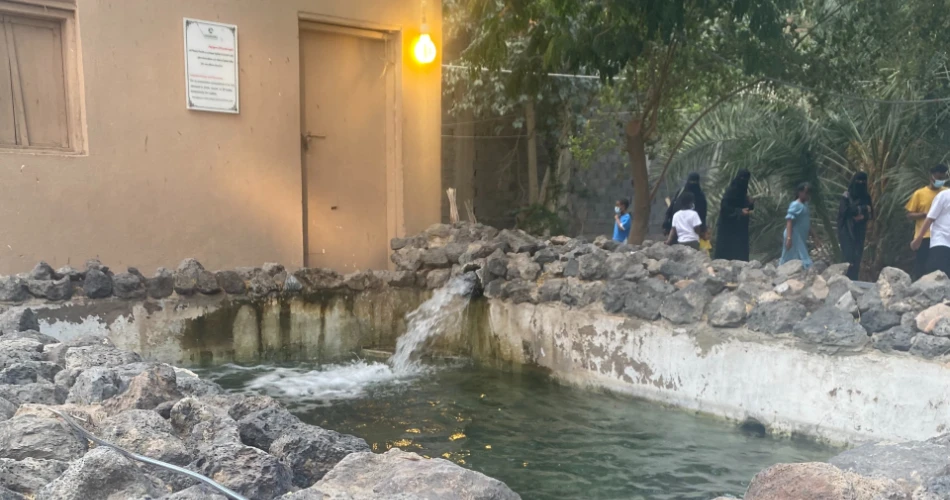 A Complete Guide to the Ethiq Well and Garden