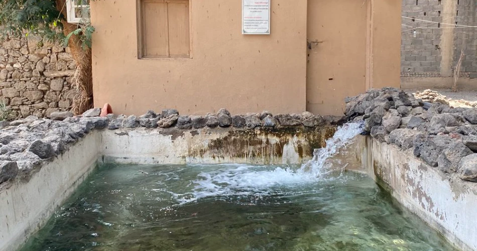 A Complete Guide to the Ethiq Well and Garden