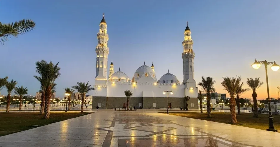 A Complete Guide to the Ethiq Well and Garden