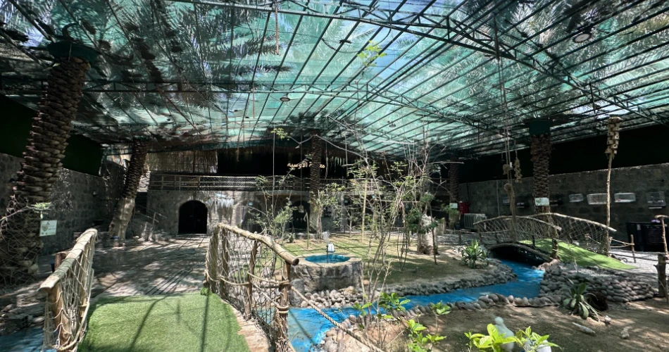 A Complete Guide to the Ethiq Well and Garden