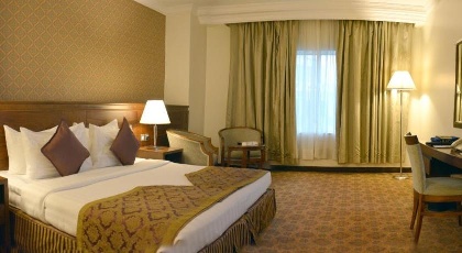 Nozol Royal Inn Hotel - image 11