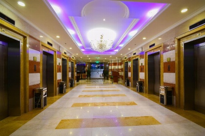 Alansar Golden Tulip - image 4