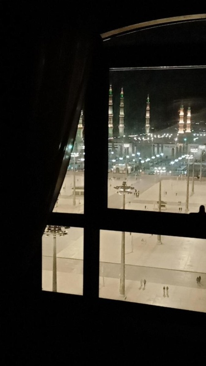 Al Rawda Al Aqeeq Hotel - image 1