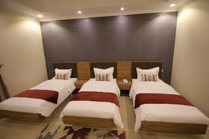 Assilah Hotel - image 11