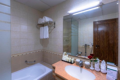 Grand Al Safi Hotel - image 12