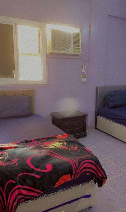 Hostel 35 - image 3