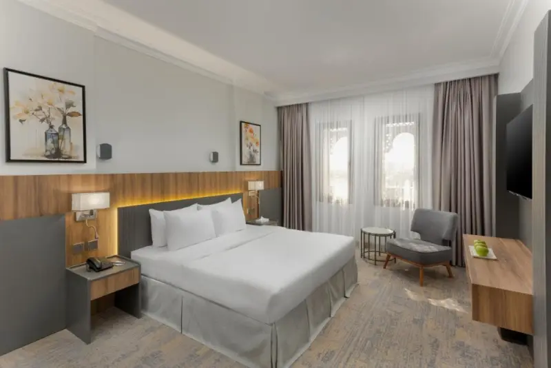 Deluxe Double Room image 1