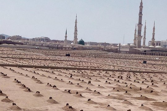 ٹور کی تصویر 4