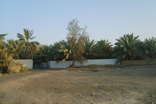ٹور کی تصویر 10