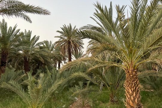 ٹور کی تصویر 12