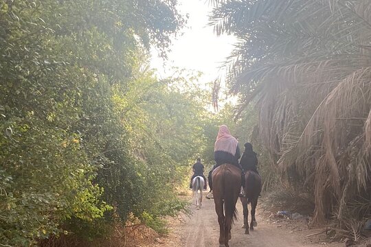 ٹور کی تصویر 3