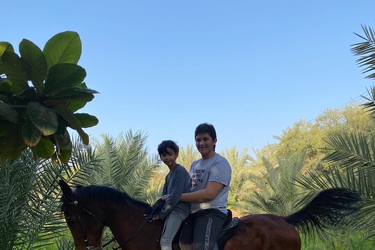 ٹور کی تصویر 6