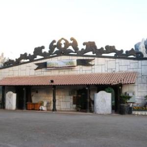 Amazon Resort