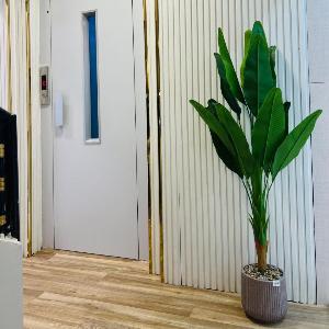 Dar NURA Eco Apartment