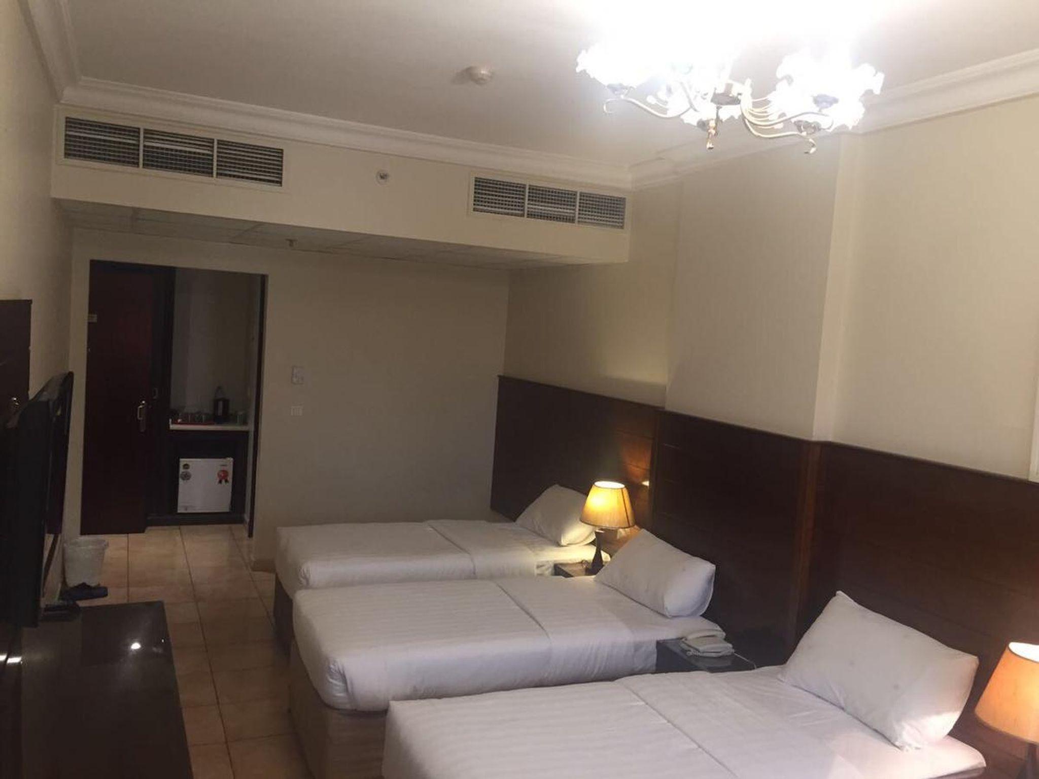 马纳泽尔阿斯瓦夫酒店 - 图片 34
