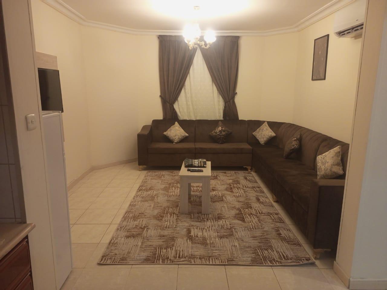 VIP For Apartment - شقق فاخره - صورة 9