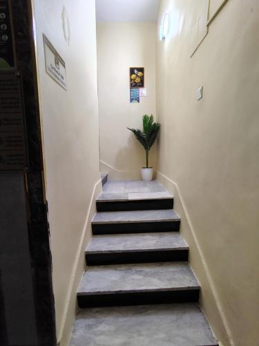 Al Jawhara Al Taba Tourist Lodges - afbeelding 9