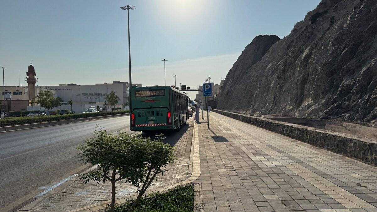 بیڈ روم اینڈ لیونگ روم - سلطانہ | 205 - تصویر 22
