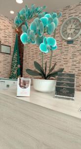 Taj Al Eiman Hotel - imej 16