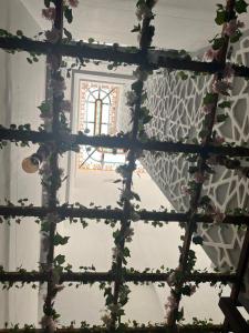Adwaa Al Salam Hotel - imej 16
