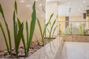 Sadu Boutique Al Madinah - image 6
