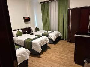 麦地那达哈比莫尔扬霍斯皮塔利蒂旅游酒店 - 图片 5