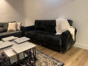 Entire Apartment - afbeelding 12