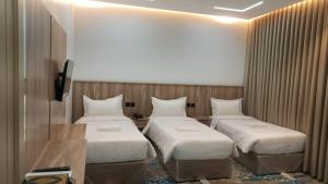 Hotel Rose Alfidy - görsel 8