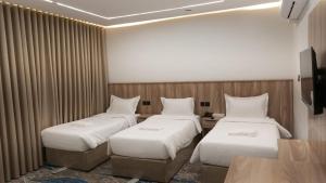 Hotel Rose Alfidy - görsel 6