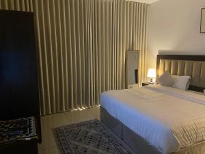 Luxury Apartment with Two Bedrooms, Two Bathrooms, Living Room and Dining Room - görsel 28