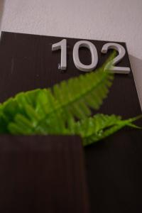 Nozol Tabba - gambar 37