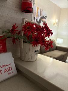 麦地那穆斯塔法城酒店式公寓 - 图片 9