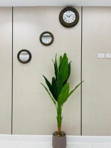 Dar NURA Eco Apartment - image 11